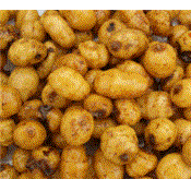 Tigernuts JUMBO en sac de 10 Kg