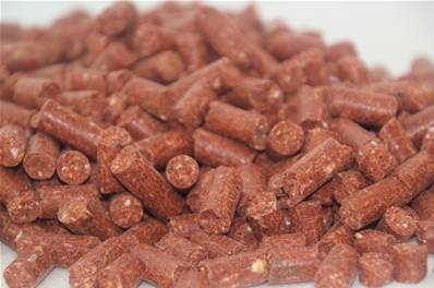 Babycorn Robin Red (1, 2.5 et 8 Kg)