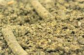Miettes de Pellets Chenevis Sac de 8Kg