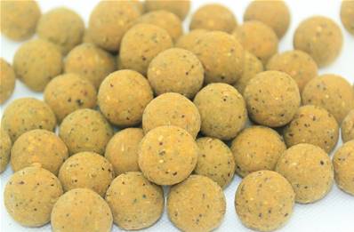 Bouillettes Carp1 Mulberry Scopex 4Kg