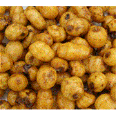 Tigernuts Jumbo en sac de 3 Kg