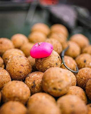 Fox Pop up Corn Pink